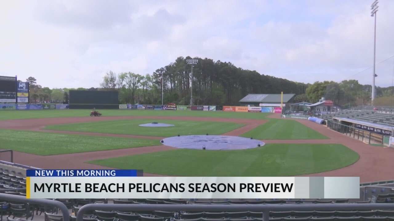 Myrtle Beach Pelicans hosting 'Meet the Team' event ahead of season opener