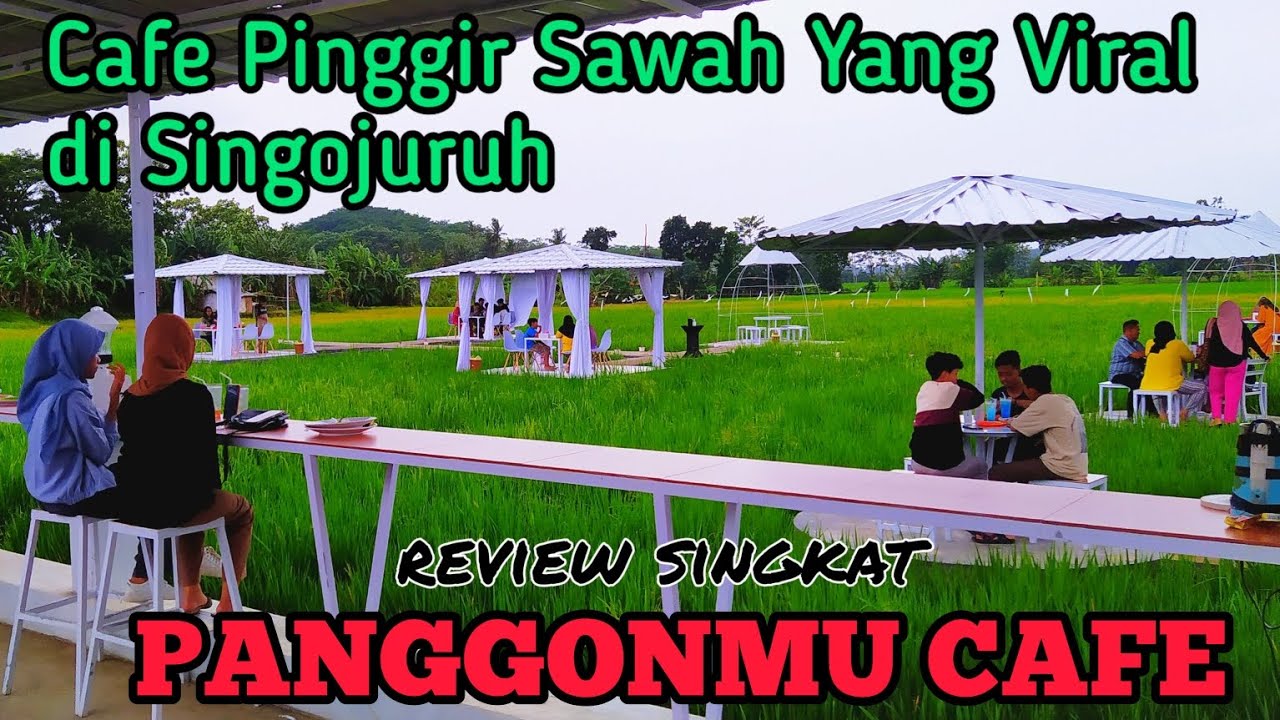 Review Singkat Panggonmu Cafe,  Tempat Nongkrong Pinggir Sawah Di Singojuruh Yang Lagi Viral