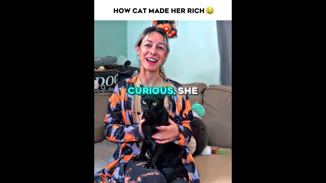 THIS BLACK CAT BRINGS LUCK! #cat #animals #pets #money