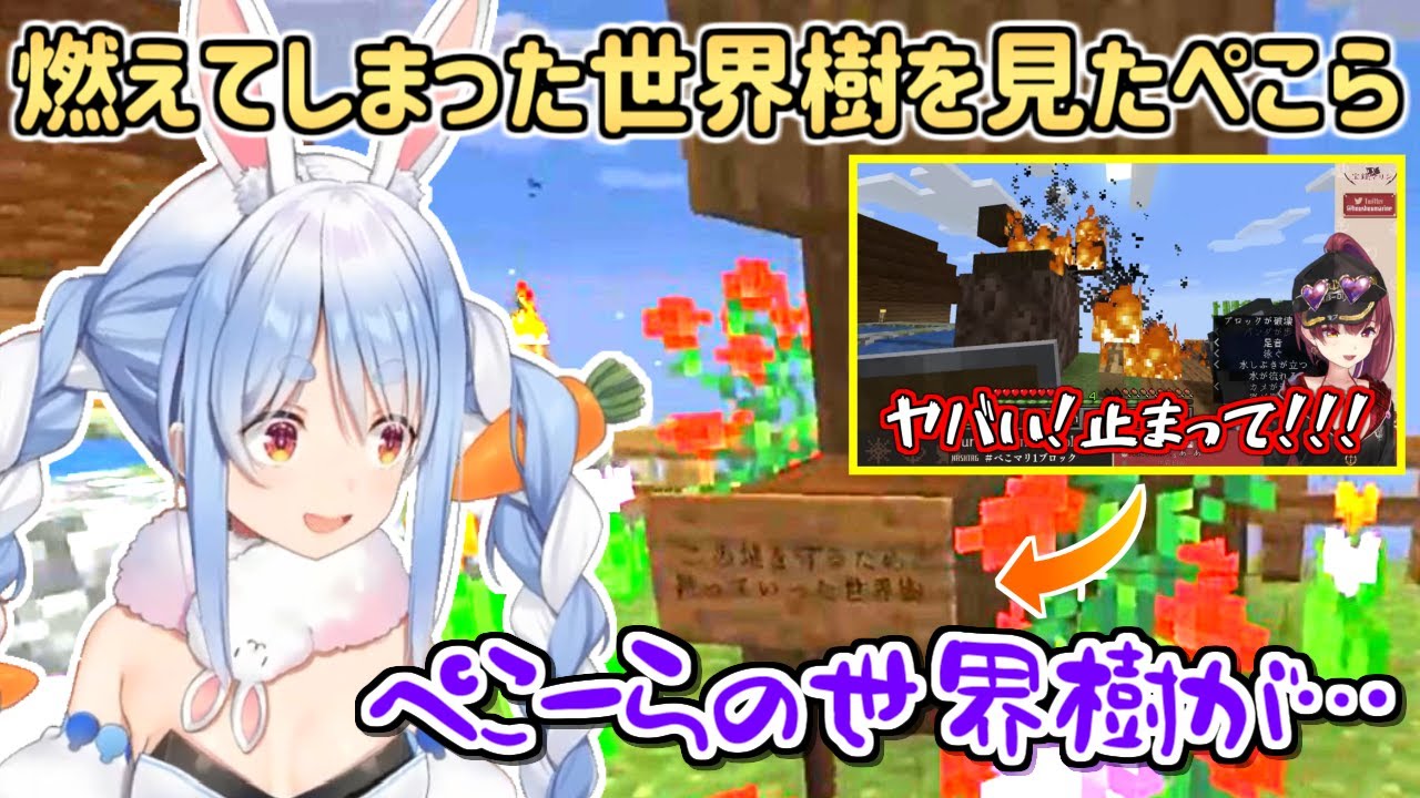 炎上して無残な姿となってしまった世界樹を見たぺこらの反応【兎田ぺこら/宝鐘マリン】
