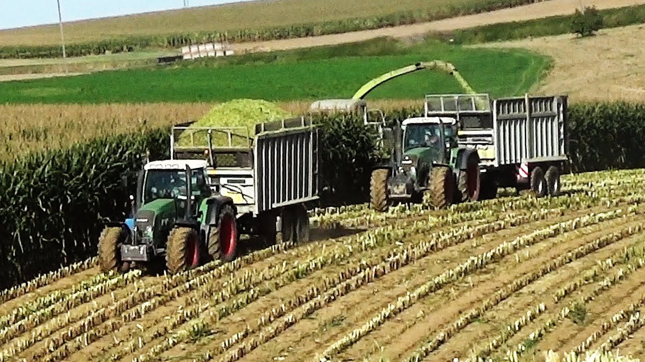 🔥 FENDT'astyczna KISZONKA z KUKURYDZY 2020 🔥 4 Fendty i Claas Jaguar w akcji 🔥