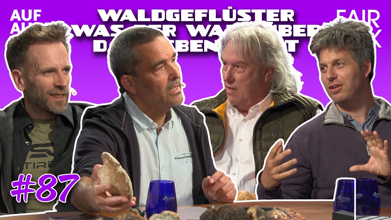 WALDGEFL&Uuml;STER &ndash; WAS DER WALD &Uuml;BER DAS LEBEN LEHRT