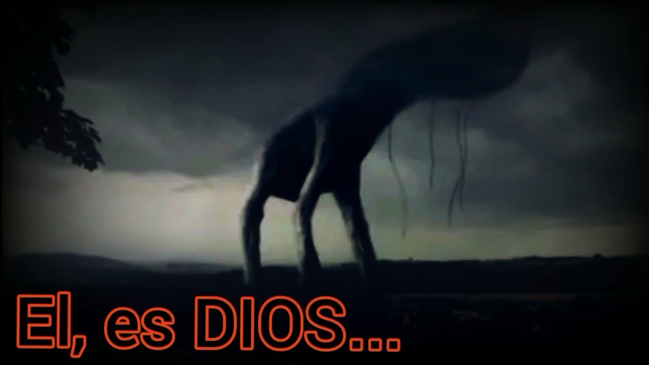 LA FE' ERRANTE.