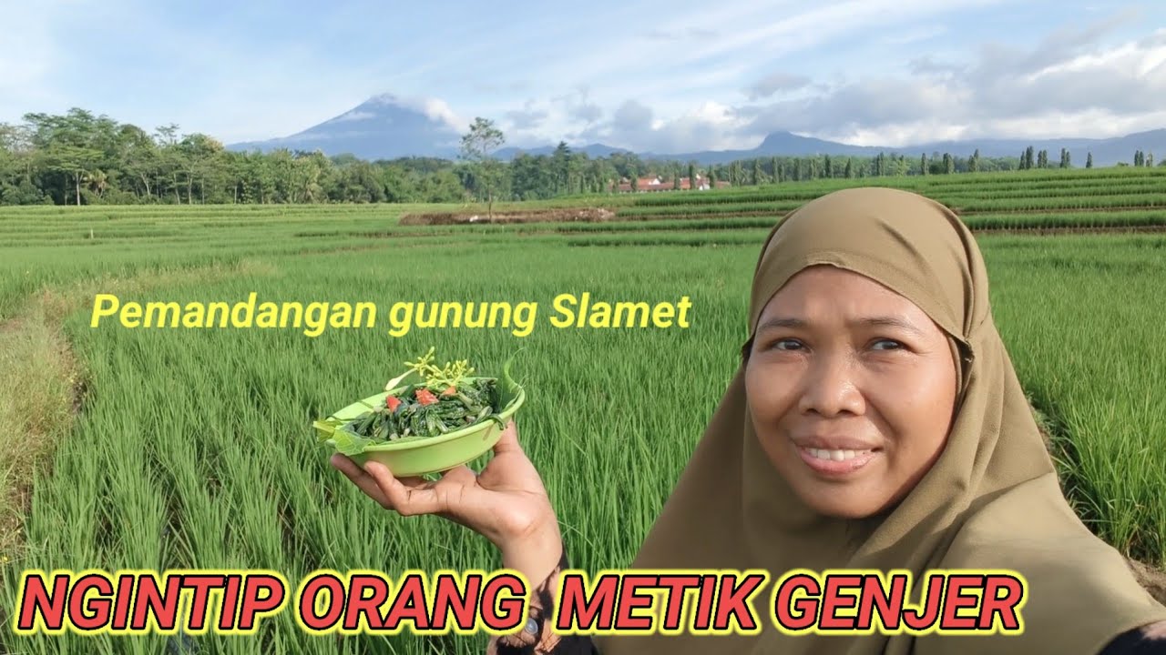 NGINTIP ORANG METIK GENJER