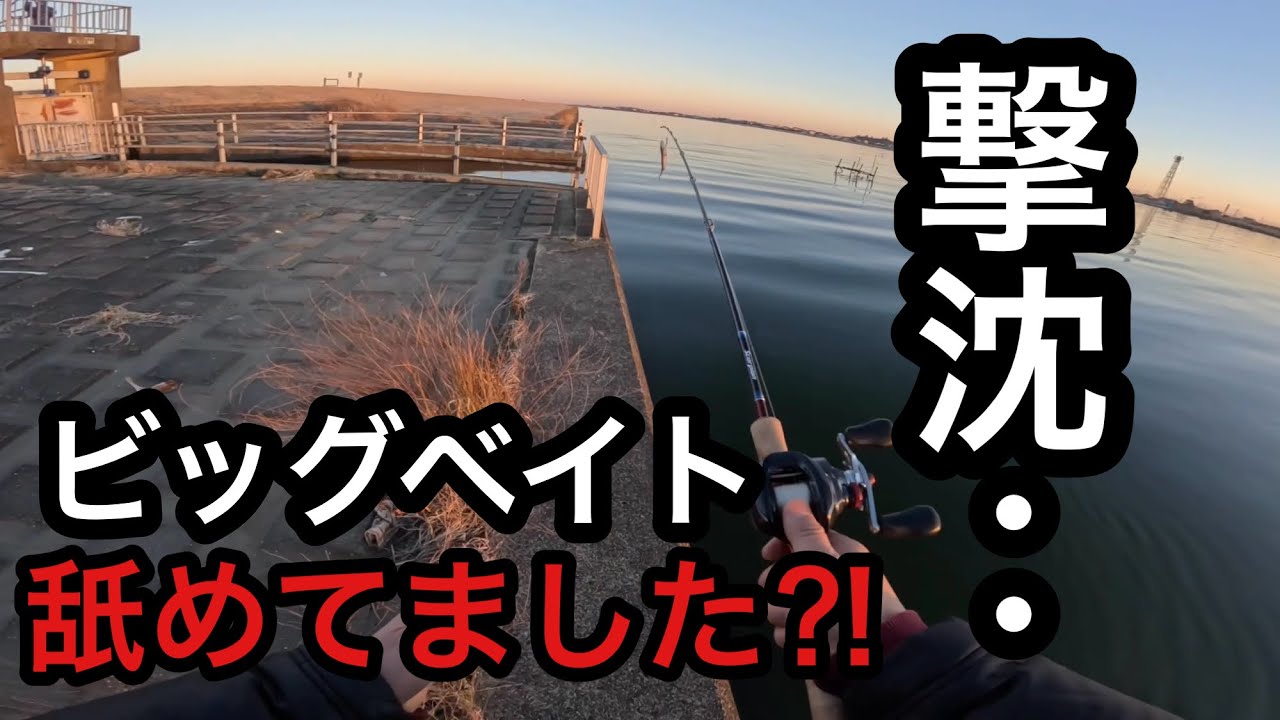 バス釣り反省会！ビッグベイト縛り大会で撃沈2026年1月26日