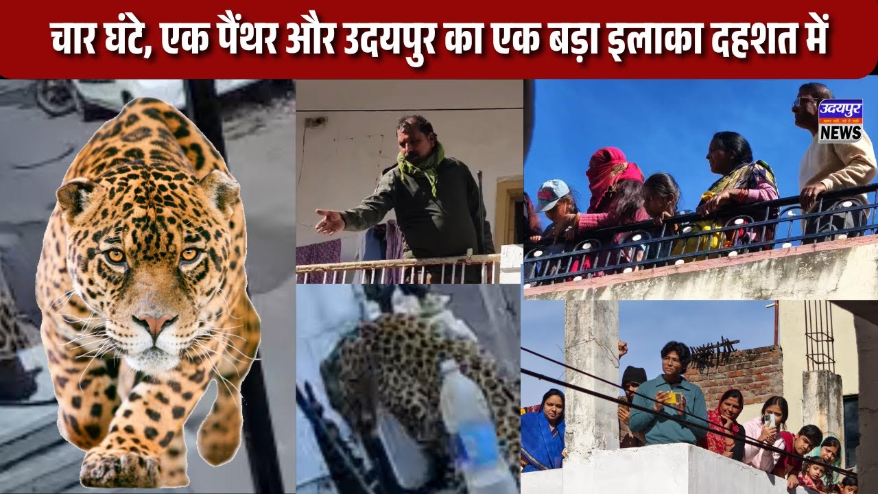 चार घंटे, एक पैंथर और उदयपुर का एक बड़ा इलाका दहशत में