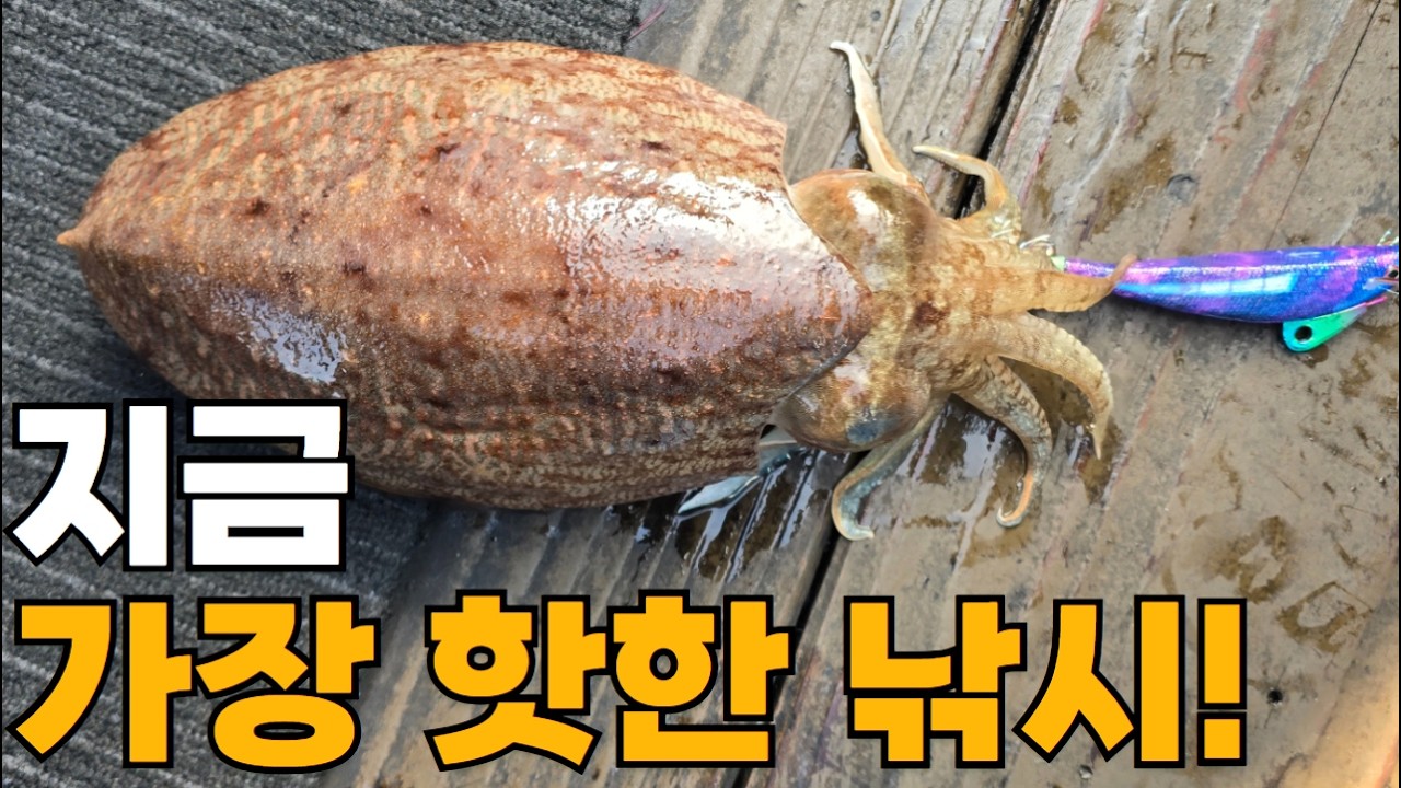 처음 와봤는데 사이즈 미쳤네요!