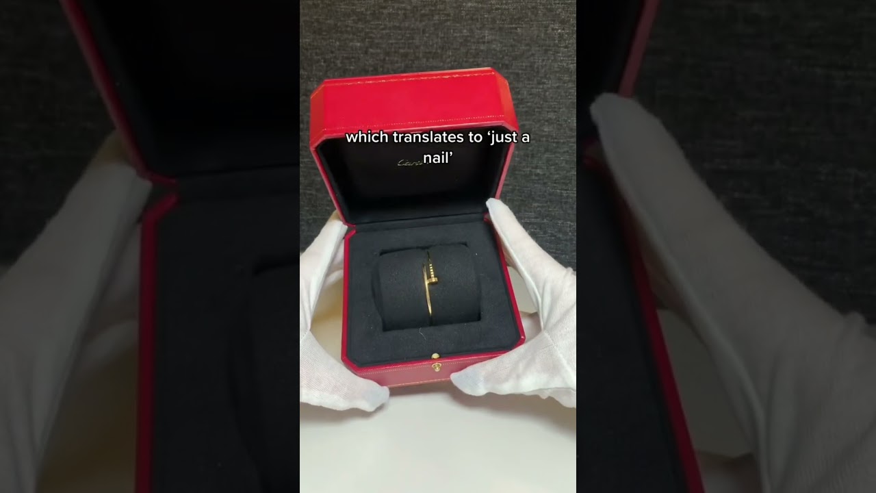 Is this WORTH $3,000?! 