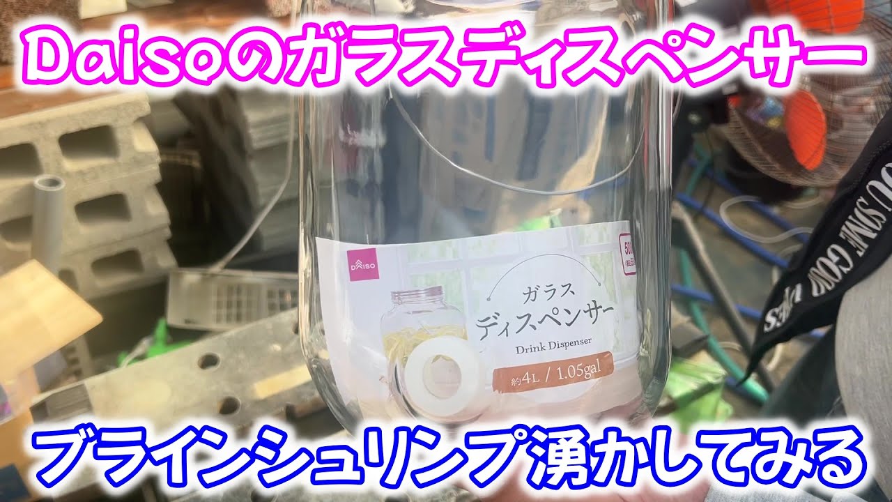 【めだか】Ｄａｉｓｏでブラインシュリンプの孵化に良さそうな物見つけた。Ｂ型おやじ