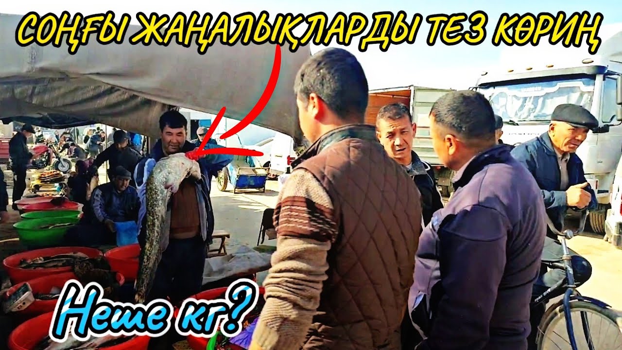 Шымбайдаґы ең арзан тана гөши қанша? Кимге сау'ға бердим? Базардағы ең ири балық бахалары