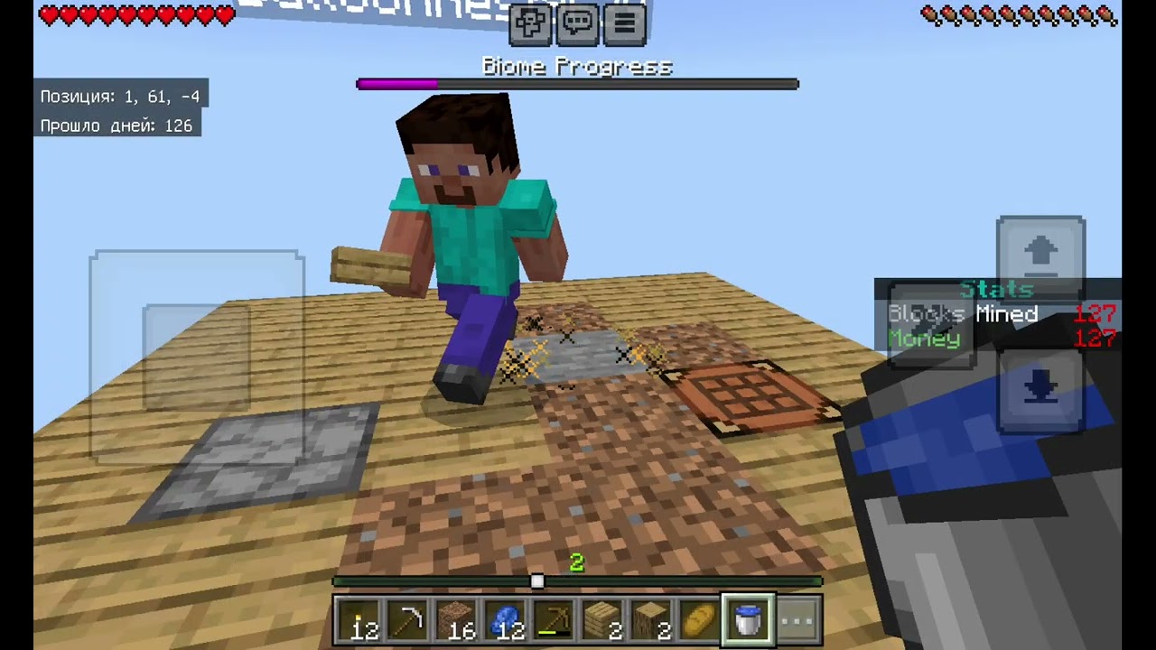 Play Minecraft 