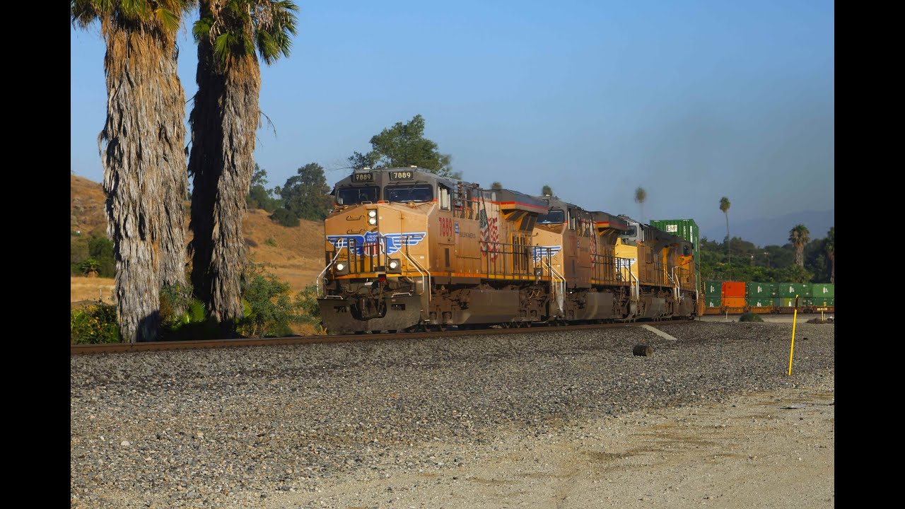 A Busy Day in the San Timoteo Canyon July 29th, 2025