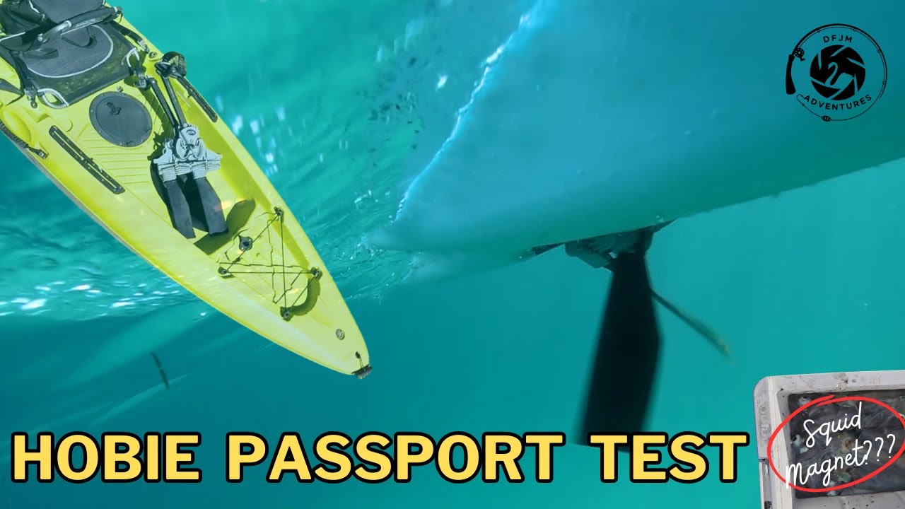 New Hobie Kayak - BETTER or WORSE? | Perth Metro Squid on this channel's anniversary!