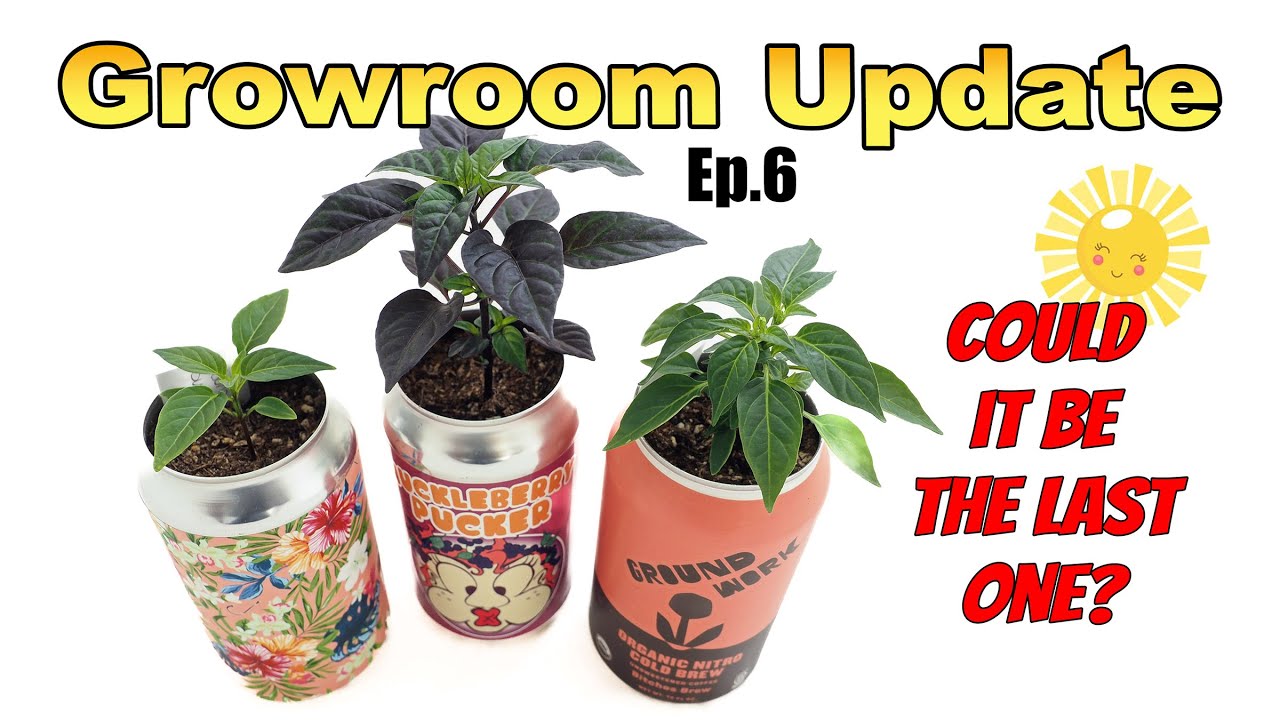 2023 Growroom Update Ep 6