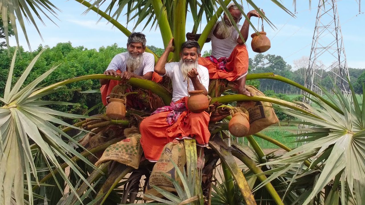 How to Extract Natural Alcohol from Toddy Palmyra? Mango Mix Palm Juice Payesh Recipe of Grandpa