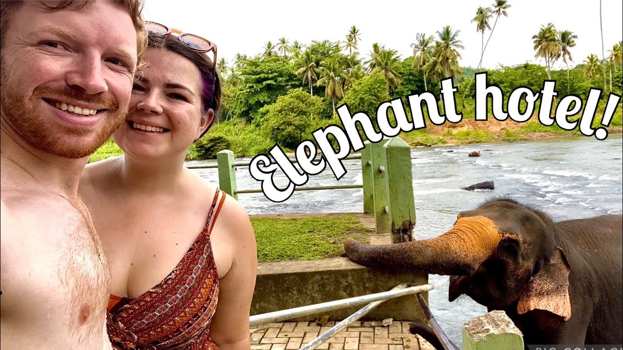 We stayed in an elephant hotel in Sri Lanka!
