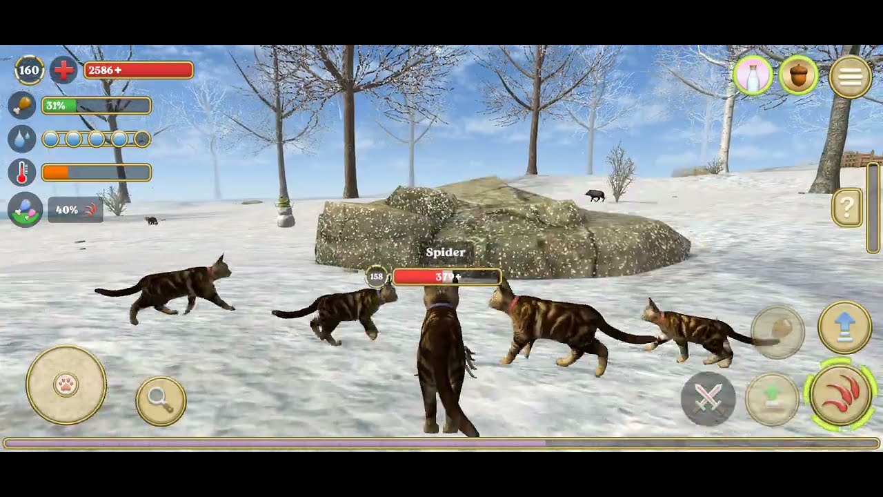 How to play with cat simulator