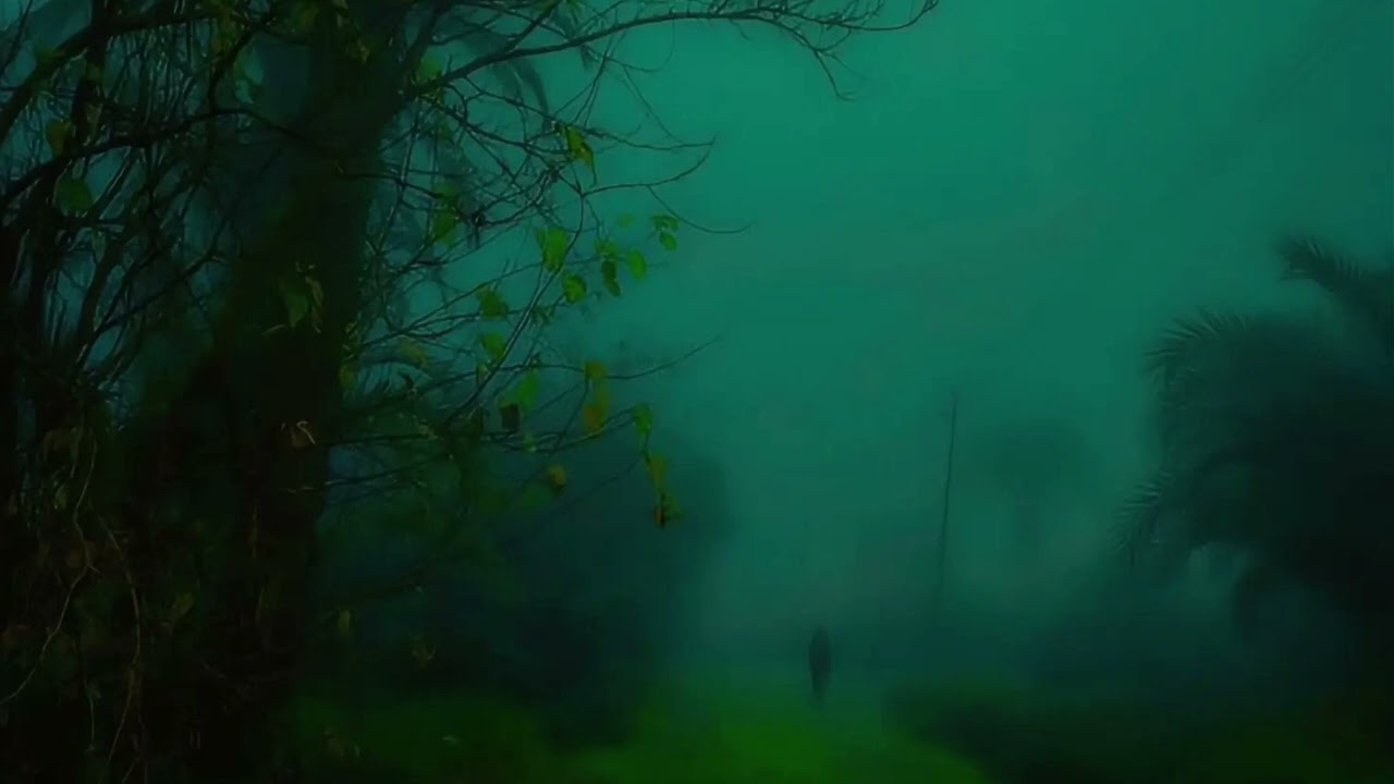 Rainy Forest 🍃 | Deep Ambient for Relax & Sleep
