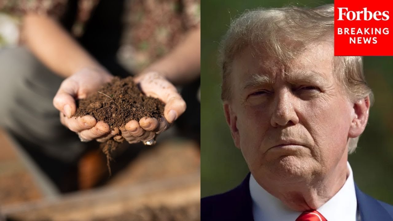 'They Love That Dirt': President Trump Discusses Helping American Farmers