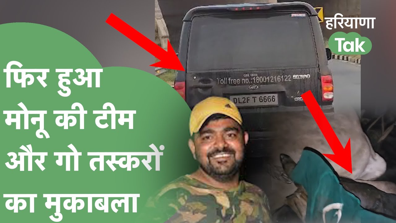 फिर हुआ Monu Manesar की टीम और गौ तस्कर का मुकाबला | Haryana Tak