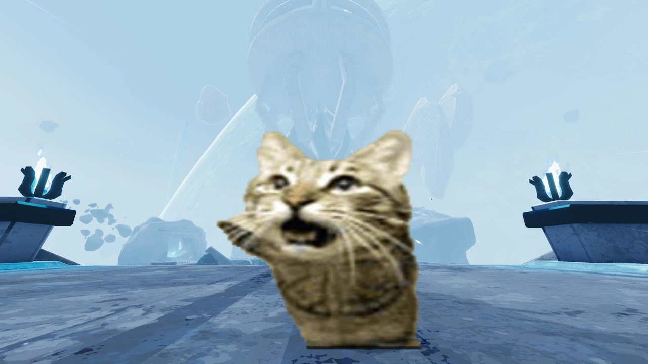 cat lentitud poderosa