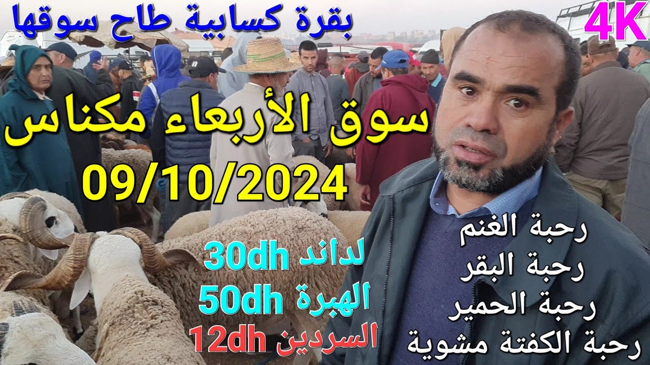 أثمنة الغنم والبقر واللحوم والخضر سوق الأربعاء صوريا مكناس اليوم 09/10/2024