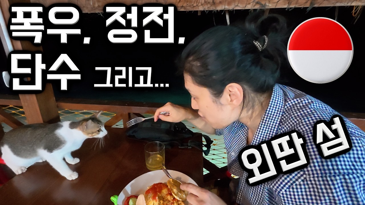 정전·단수·폭우… 이 섬에서 뭐 하나? 🇮🇩 사방