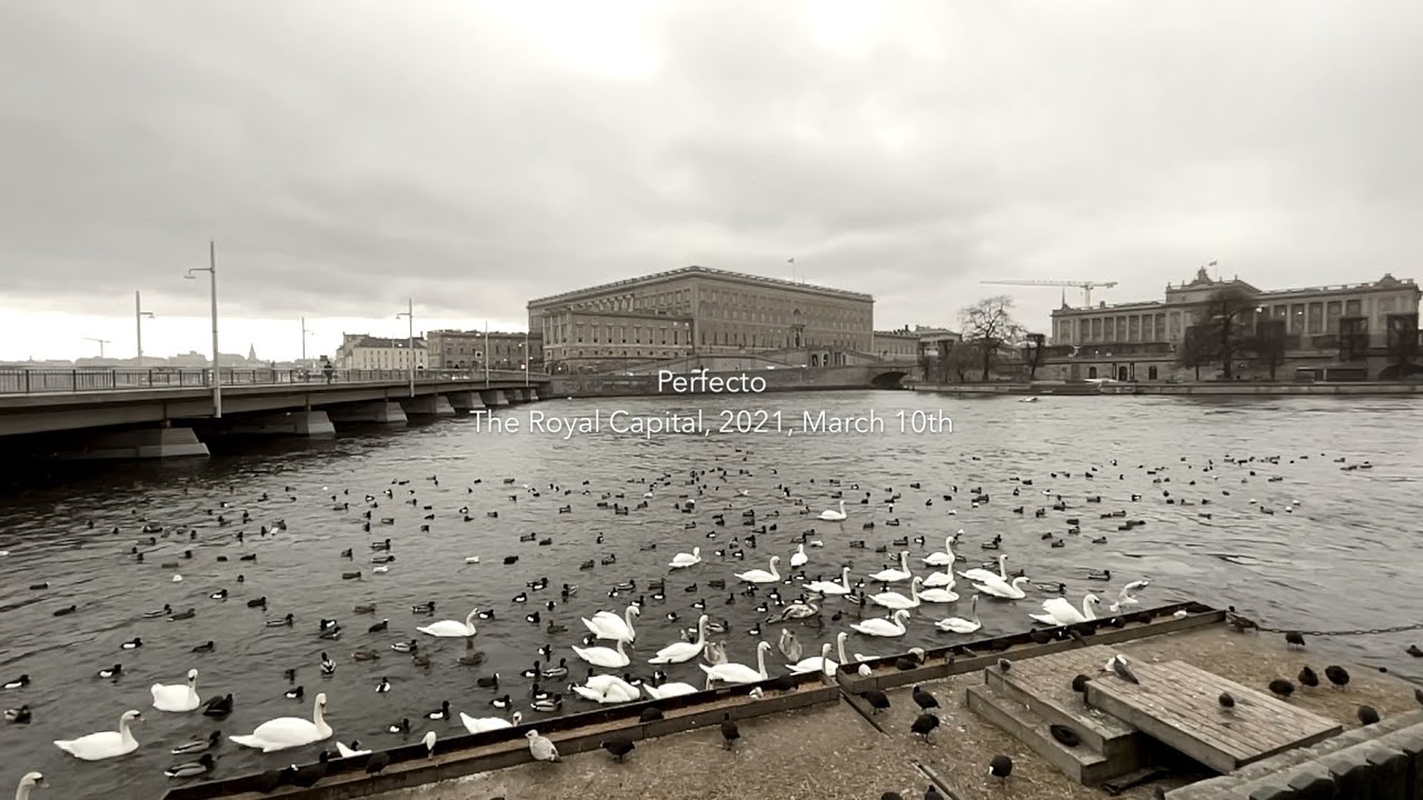 Mattias Lindblom &mdash; Perfecto