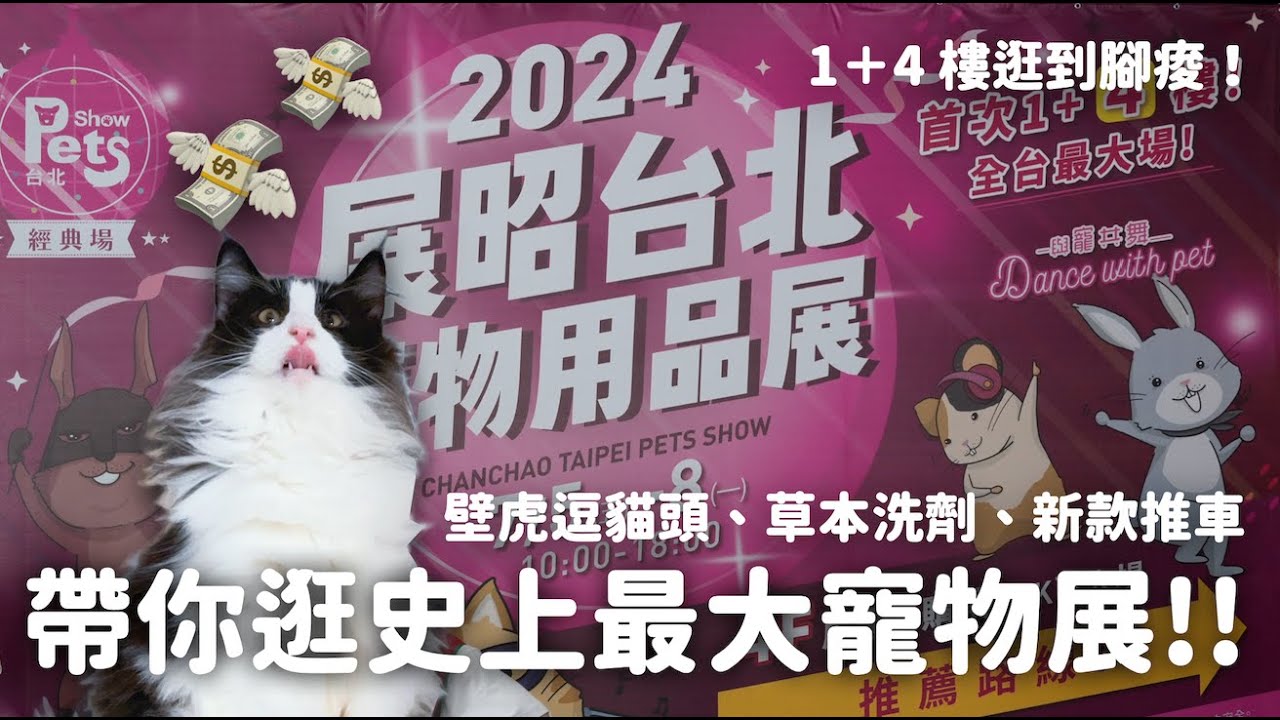 那堤帶你逛：2024史上最大台北南港寵物展｜逛到你腳痠！包色壁虎逗貓頭｜韓國天然草本潔毛粉｜新款安全汽座推車 EP123