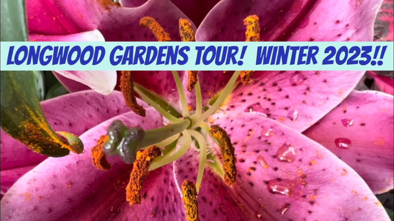 Longwood Gardens Conservatory Tour! Winter 2023!