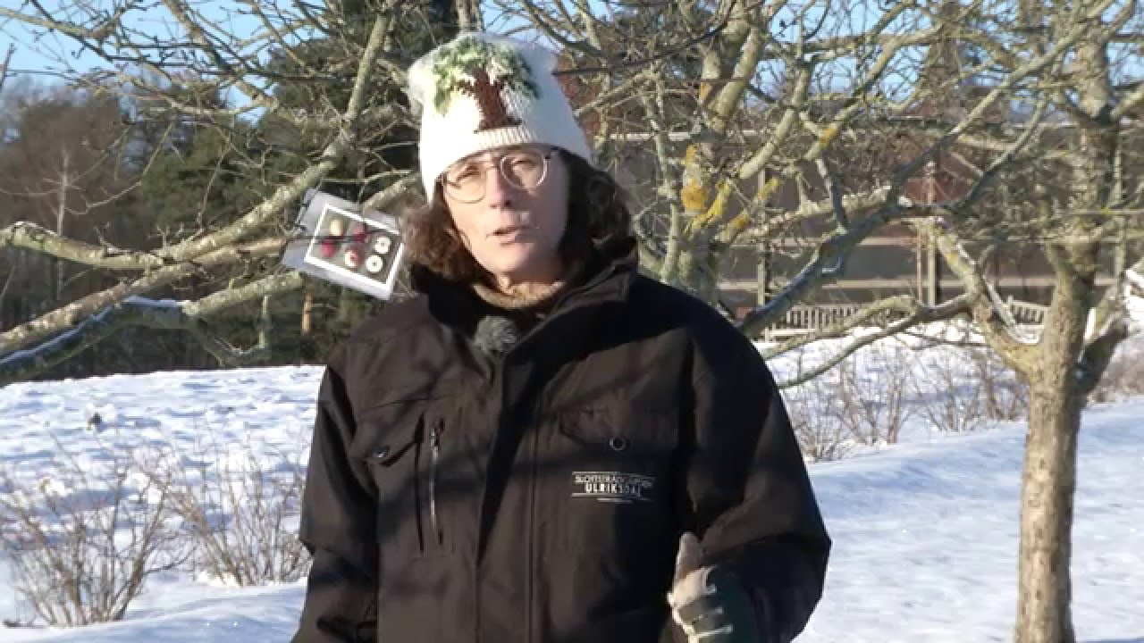 TRÄDBESKÄRNING