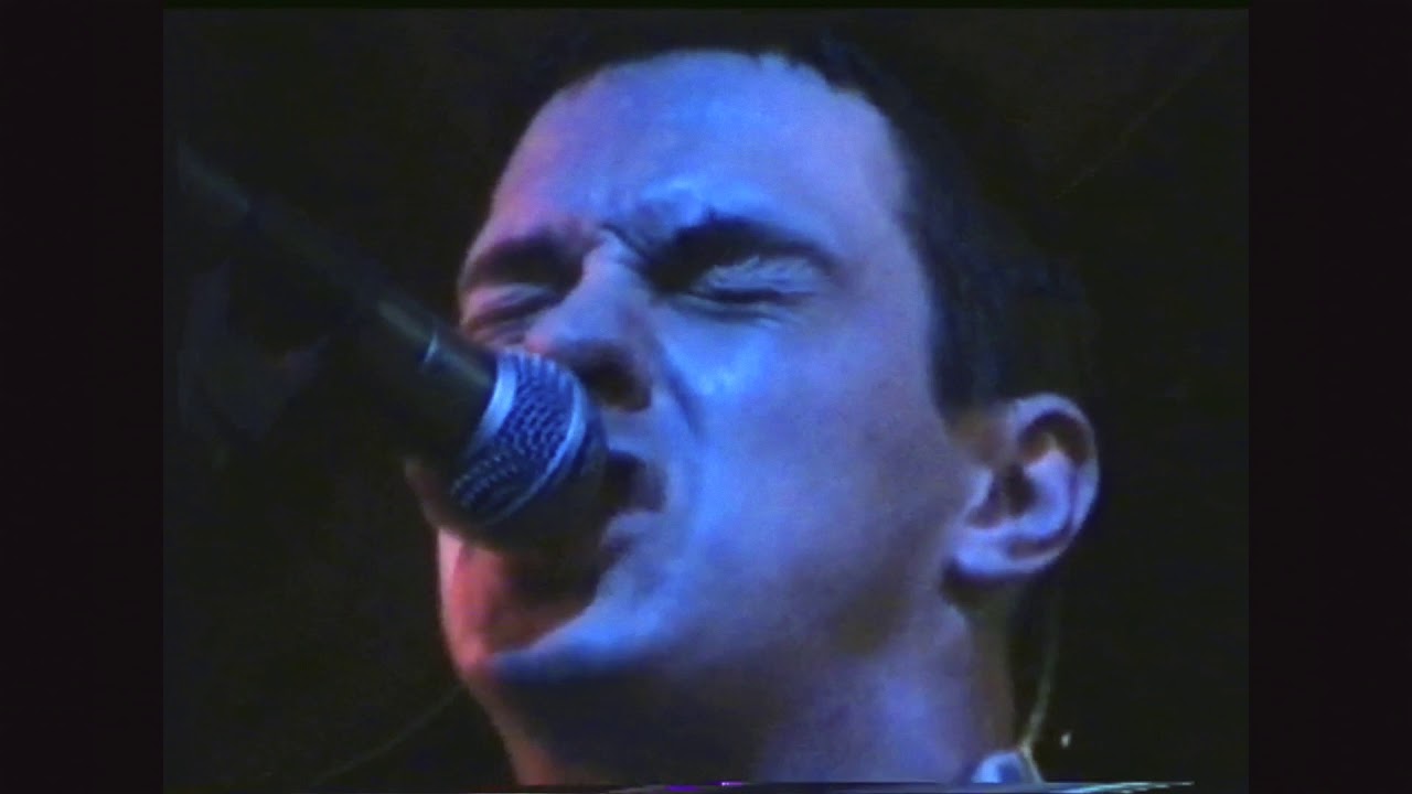 60ft Dolls - The Water Rats