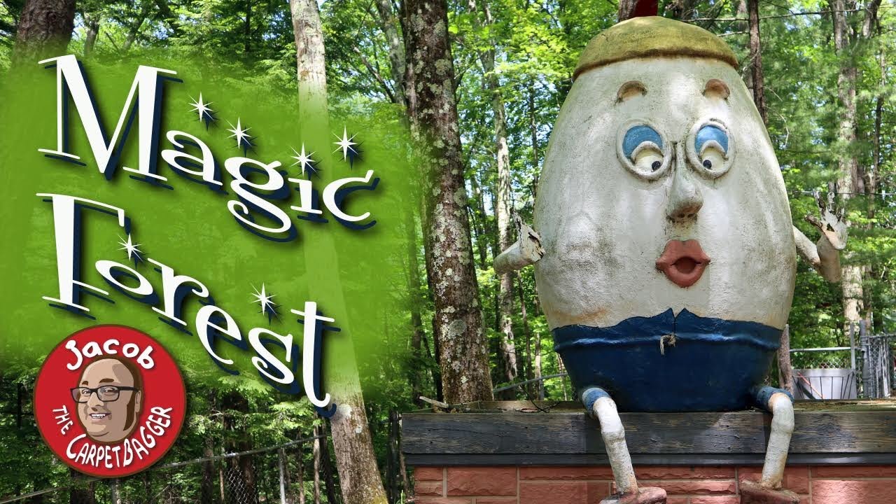 The Magic Forest
