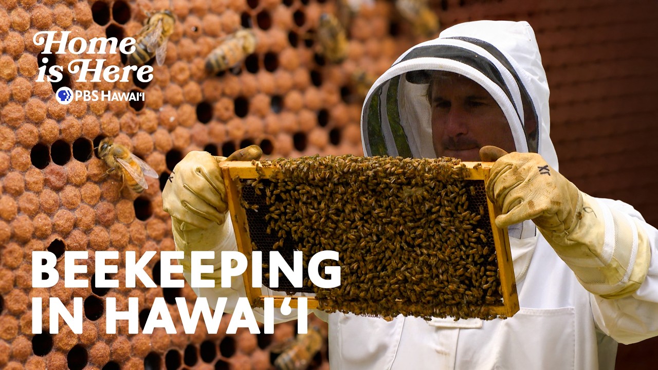 The Next Generation of Hawaiʻi's Beekeepers | Home is Here