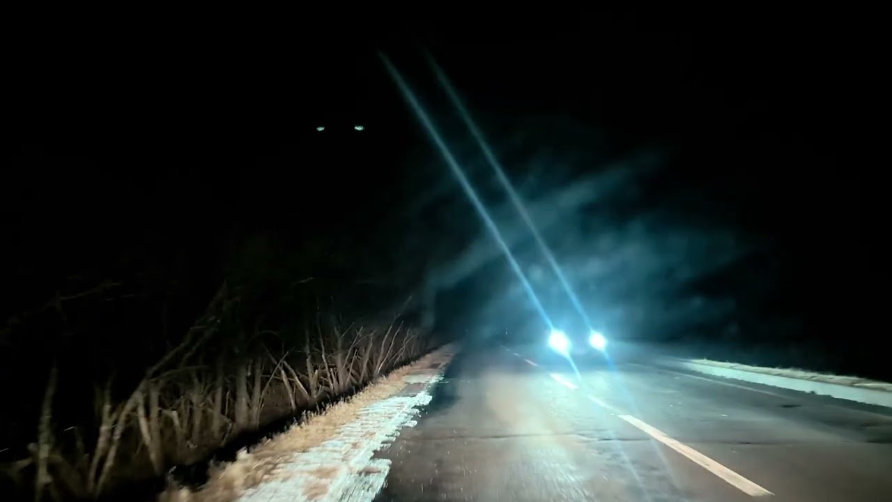 北海道　釧路湿原道路をナイトドライビング！　鹿しか鹿さんとラストに狐さんもゲスト出演です。