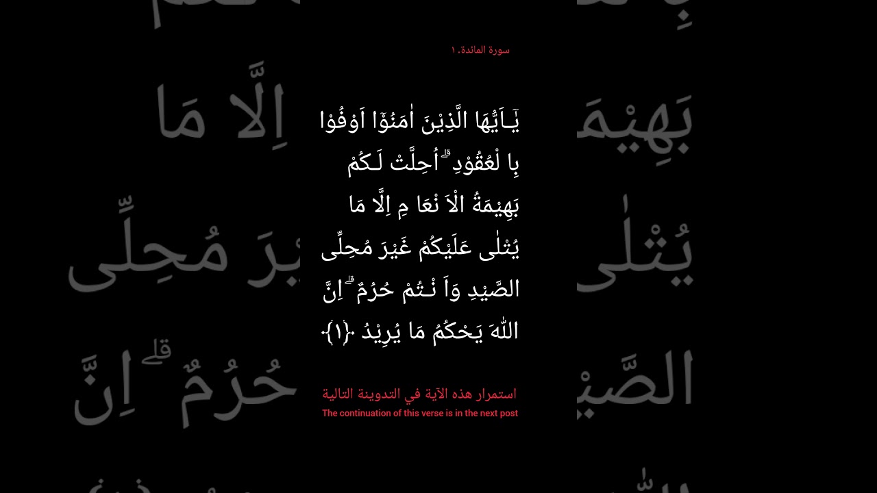 surah Al-maidah ayat 1. Syaikh Mishari Alafasy