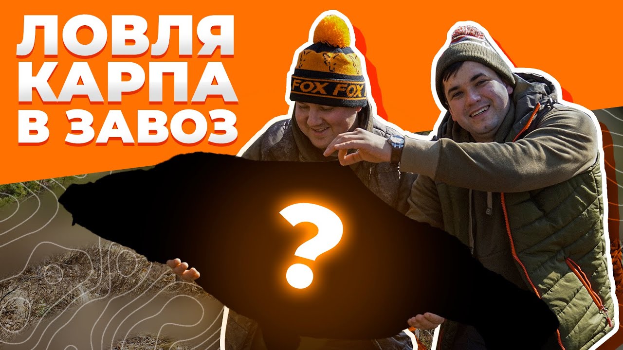 Карпфишинг в завоз первый опыт | Удалось ли уйти от 0? | Озеро Плитница