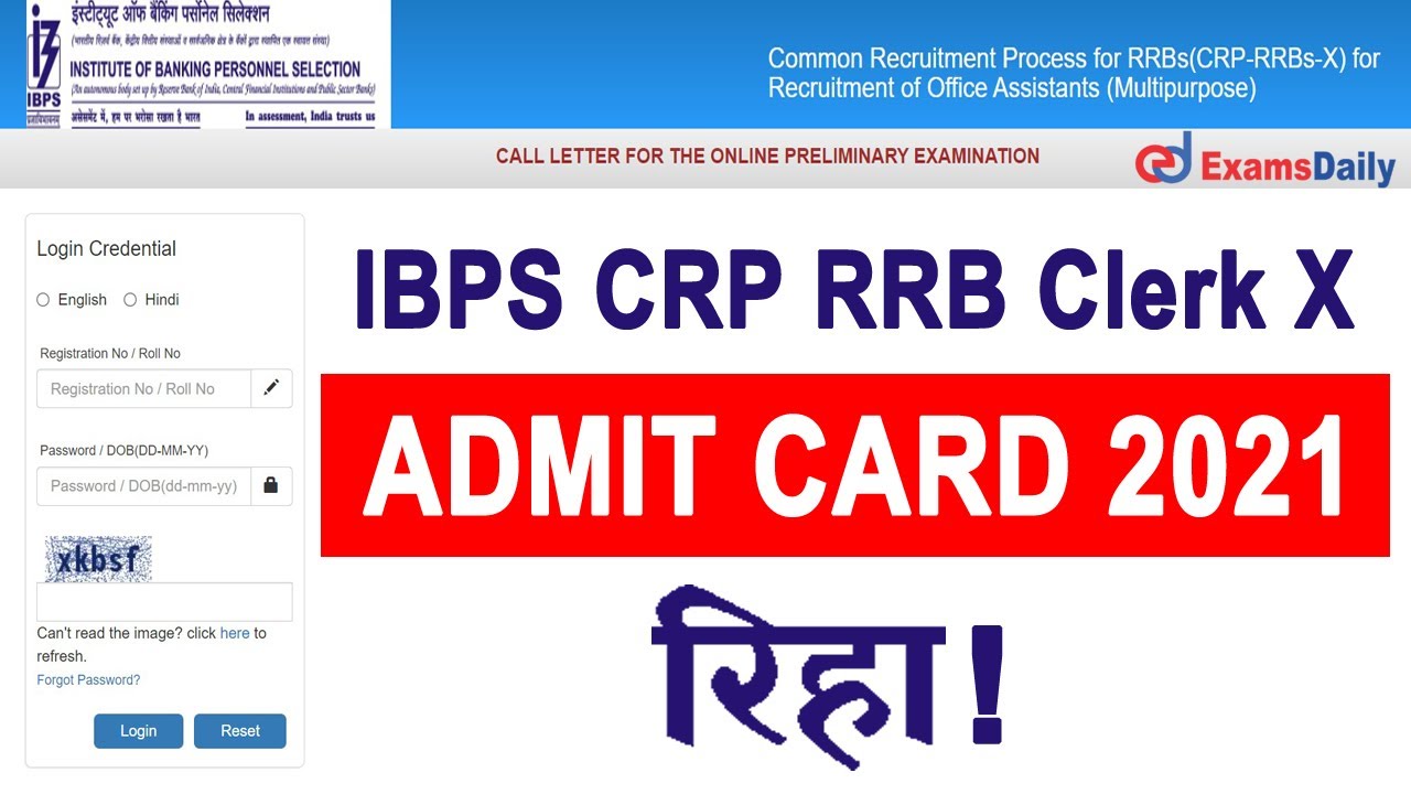 IBPS RRB Clerk Prelims Admit Card 2021 | Download IBPS RRB Clerk Prelims Call Letter 2021