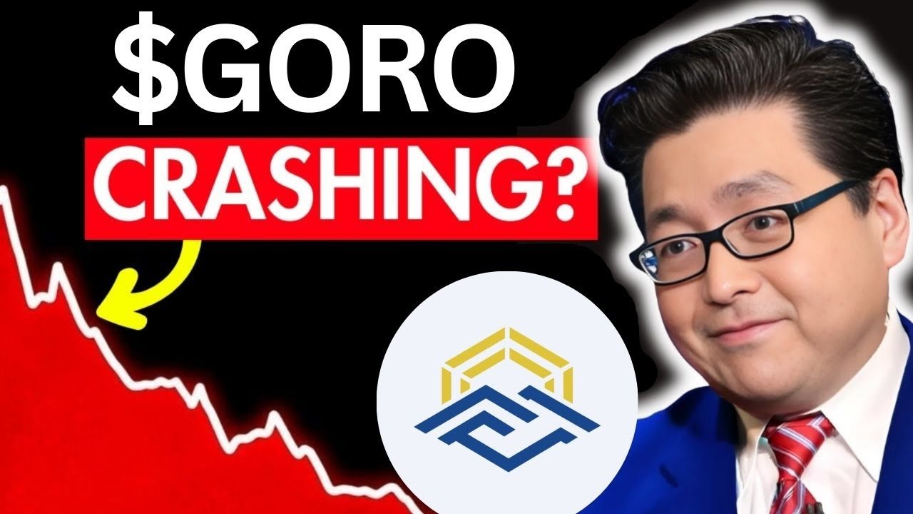 GORO Stock CRASHING Next!? (Thank Me Later Bro) Gold Resource Corporation stock best broker review