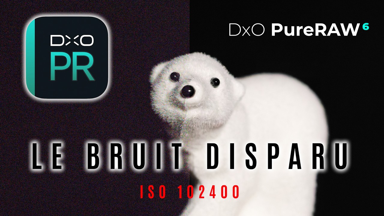 DxO PureRAW 6 : le test complet du débruiteur ultime 🧹