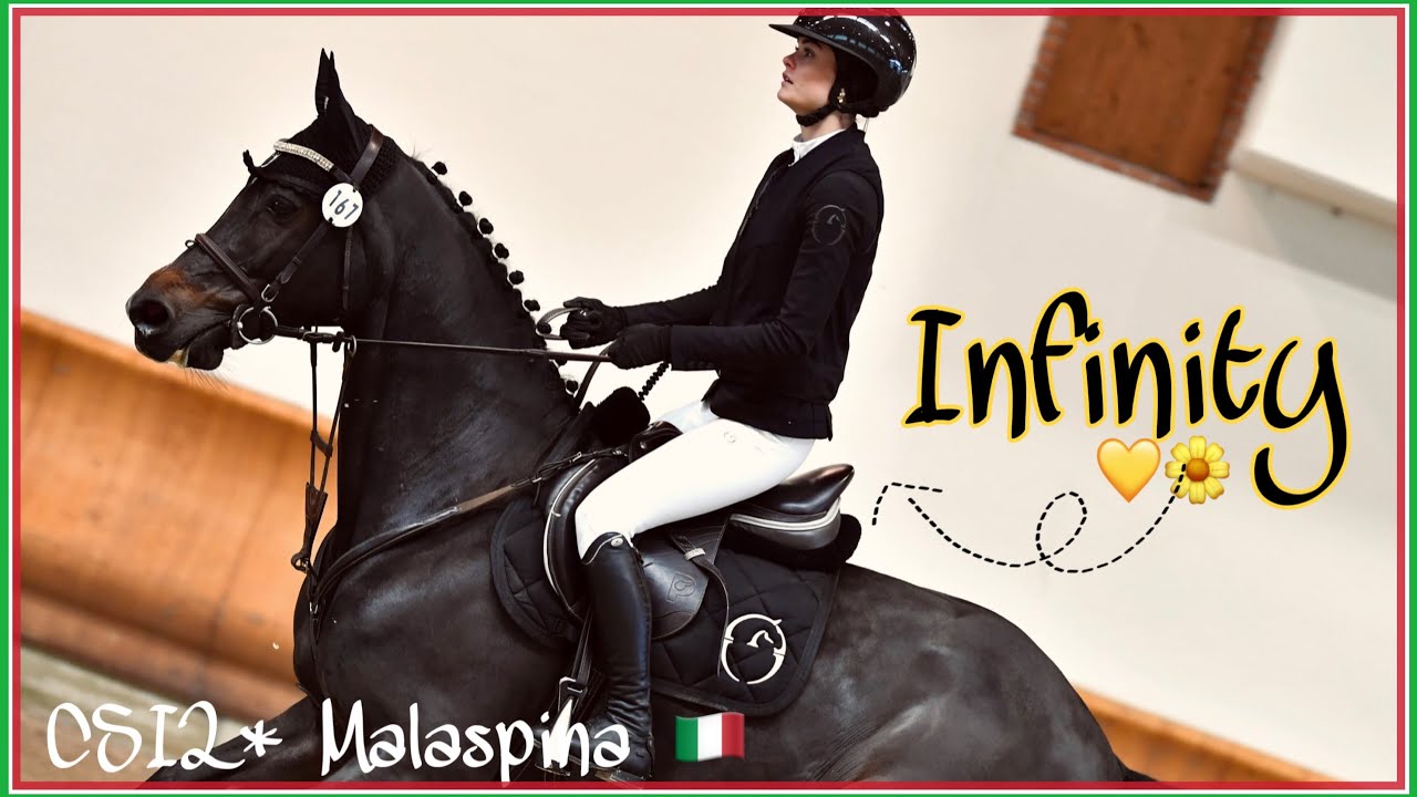 CONCORSO INTERNAZIONALE 🥰🐴 CAVALLA NUOVA?