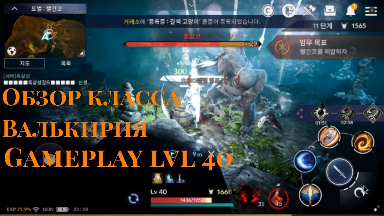 Black Desert Mobile - Обзор класса Валькирия. Gameplay lvl 40. 80 монет гоблина!!!