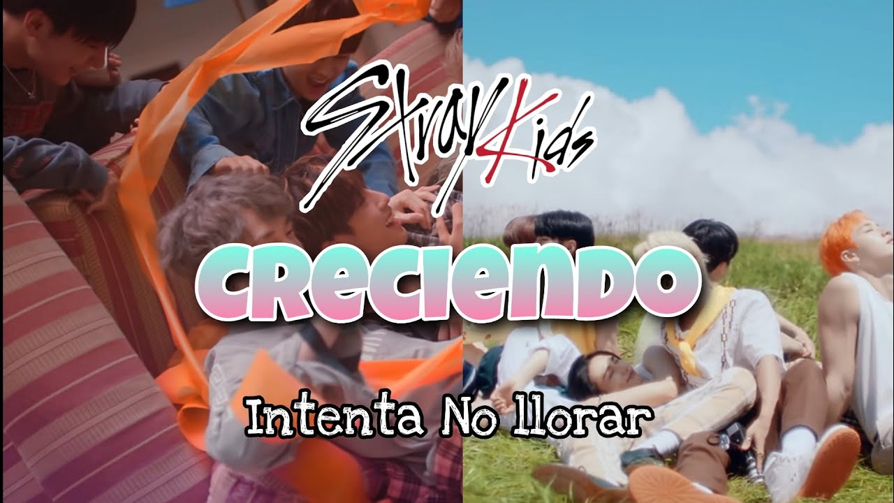 Stray kids creciendo♥️✨ Lo mejor que veras hoy 💕