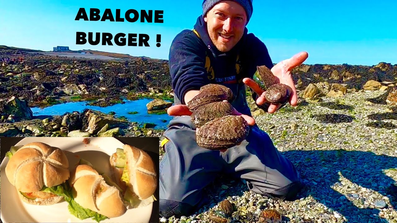 TASTY ABALONE BURGERS - Coastal Foraging Last Day of the Season !