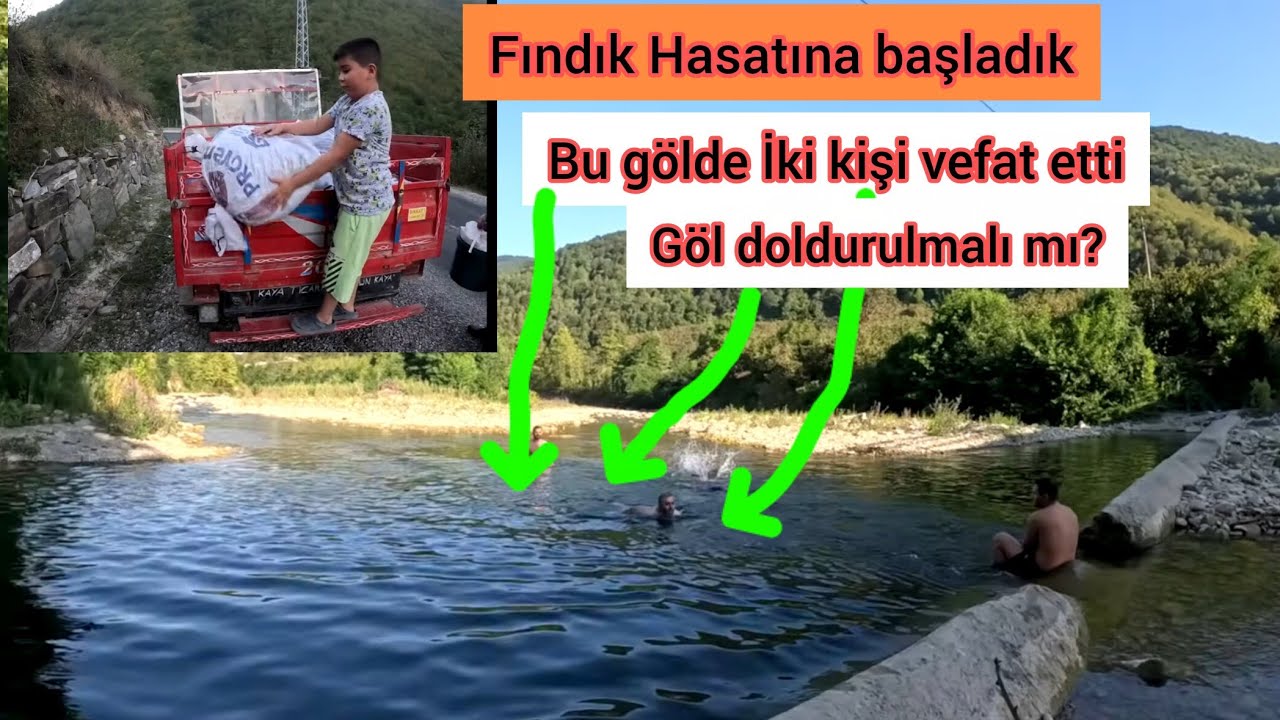 Fındık Toplamaya Başladık / Bu gölde İki Kişi Vefaat etti / Göl doldurulması mı?