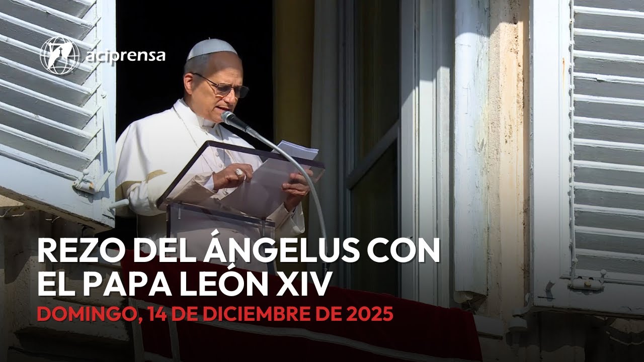 Rezo del Ángelus con el Papa León XIV | 14 de diciembre de 2025