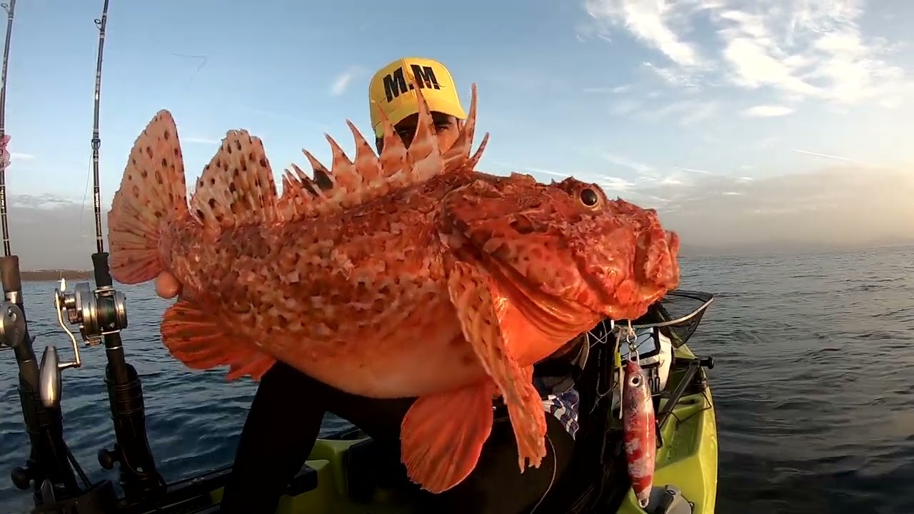 Slow Jigging- Gallineta y Pargo con nuevo Pollo Slow jig