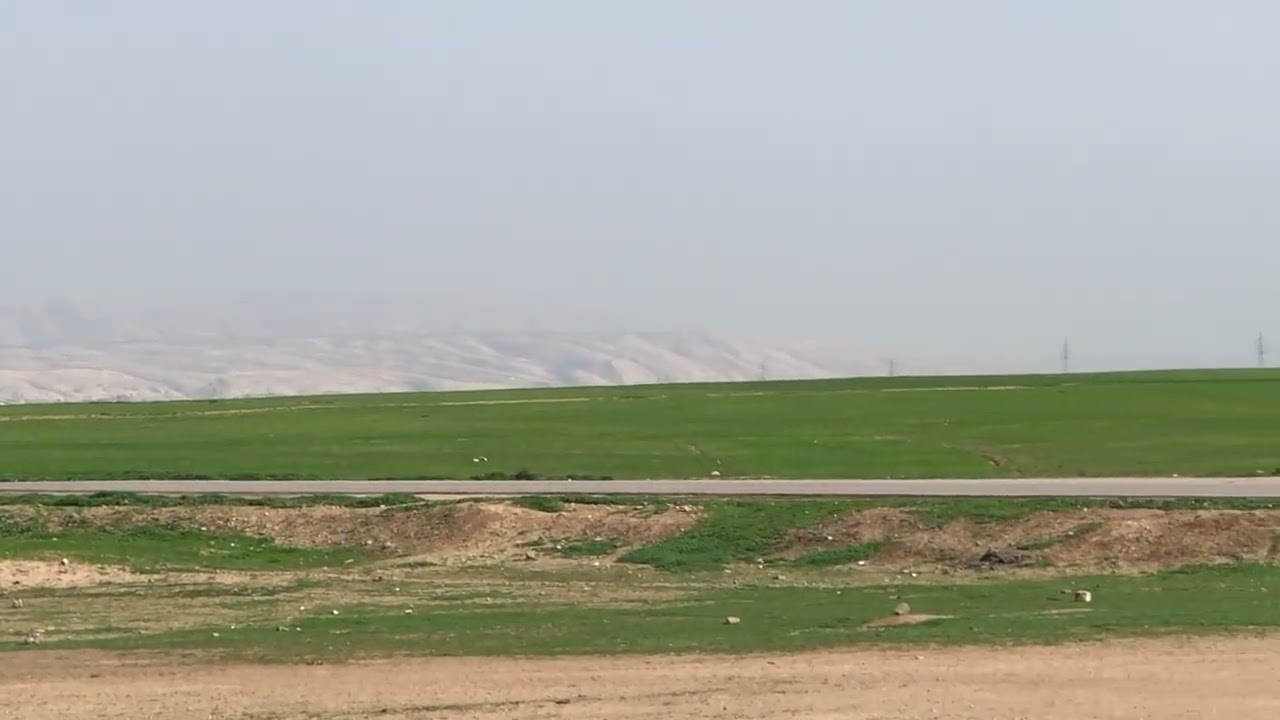 ربما تحتاج الى مثل هذا الهدوء سبحانك الله خلقك الجميل
