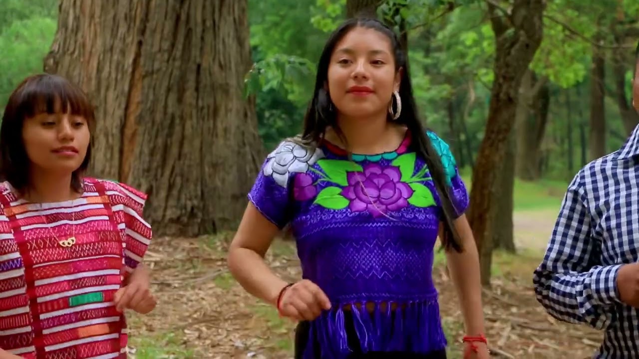 El Zopilotito (Video Oficial 2024) Saul Y Su Órgano La Visión Musical