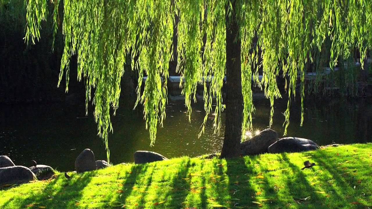 David Arkenstone - Places in the Heart